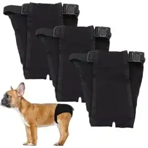 Hundewindeln LeerKing 3 Packungen Unterhosen für Hunde