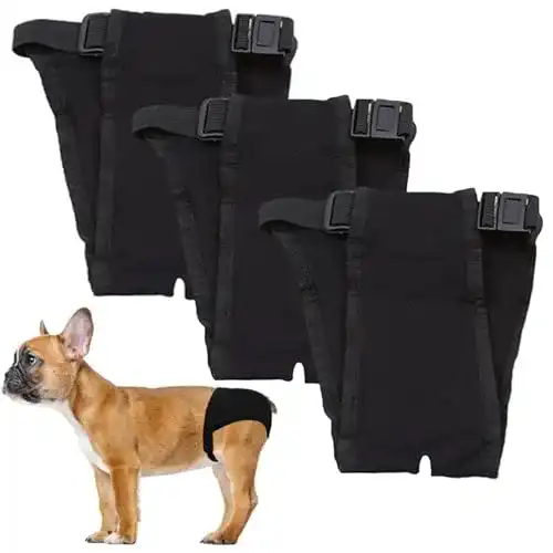 Hundewindeln LeerKing 3 Packungen Unterhosen für Hunde