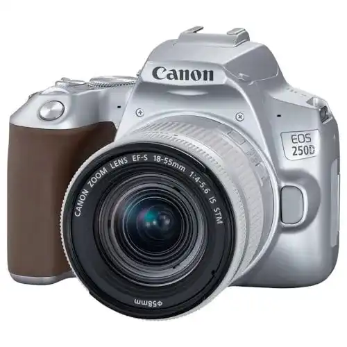 Canon EOS 250D Spiegelreflexkamera mit 18-55mm Objektiv