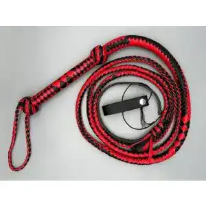 41LVE9soy7L. SL500 