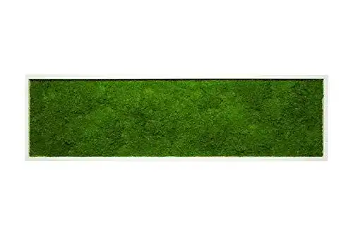 Moosbild mit echtem Flachmoos 140×40 cm in Weiß
