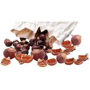 Waschnüsse Naturgut 1 kg mit Waschsäckchen von Sapindus Mukorossi