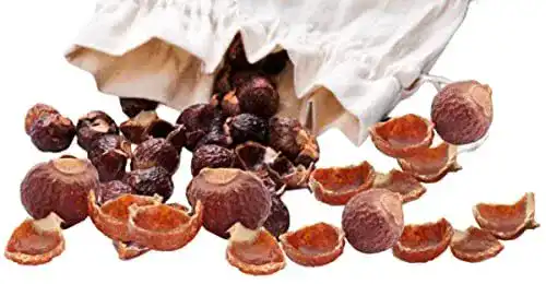 Waschnüsse Naturgut 1 kg mit Waschsäckchen von Sapindus Mukorossi