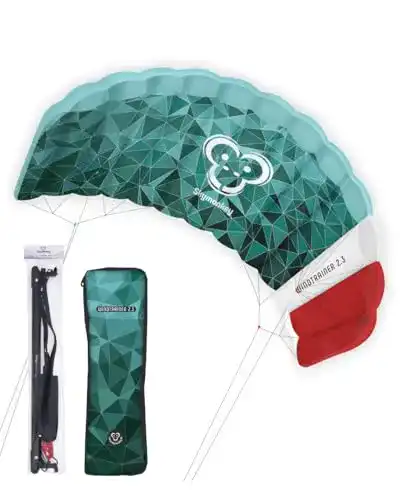 Lenkmatte 4-Leiner Skymonkey Windtrainer 2.3 Trainer-Kite