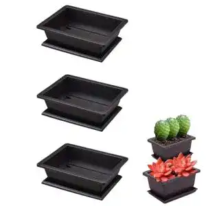 Sukkulenten-Schale Molyorch mit 6 Bonsai Trainingstöpfen und Tablett