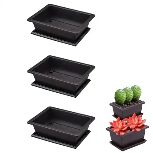 Sukkulenten-Schale Molyorch mit 6 Bonsai Trainingstöpfen und Tablett
