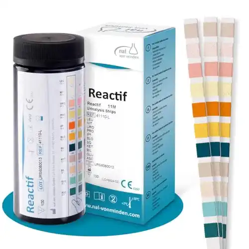 Urinteststreifen Reactif Gesundheitstest mit 11 Parametern