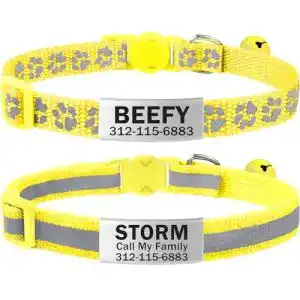 Katzenhalsband TagME 2er Pack mit individuellem Namen und Telefonnummer