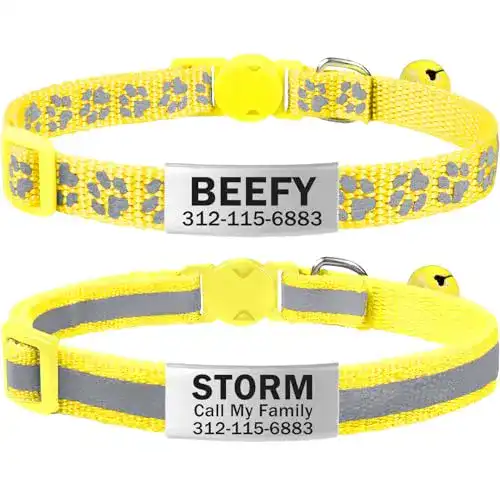 Katzenhalsband TagME 2er Pack mit individuellem Namen und Telefonnummer