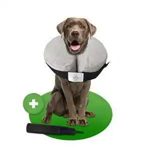Halskrause für Hunde MC-Royal Aufblasbarer Schutzkragen