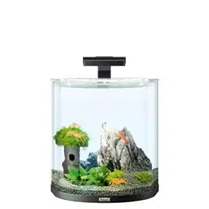 Aquarium Tetra Explorer Line 30 L Komplett-Set mit gebogener Frontscheibe