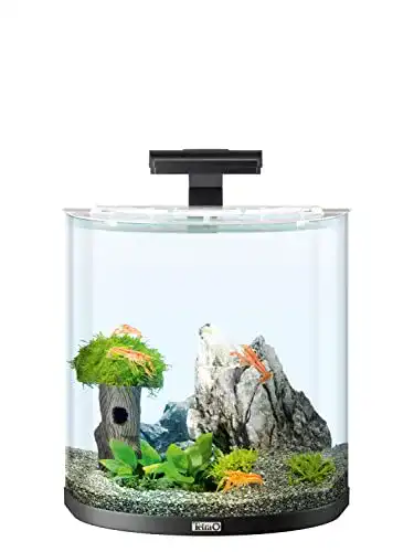 Aquarium Tetra Explorer Line 30 L Komplett-Set mit gebogener Frontscheibe