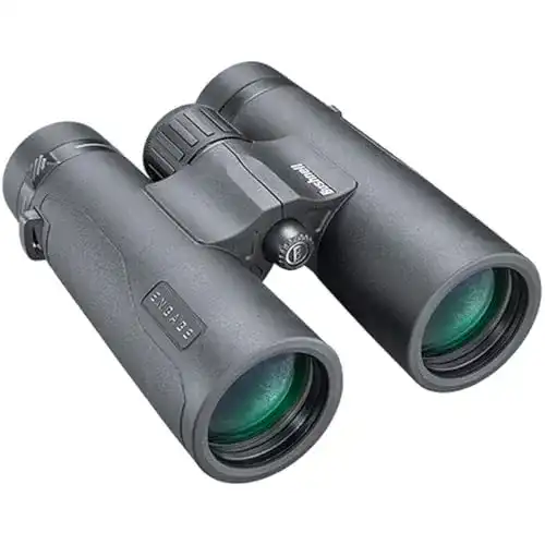 Bushnell Fernglas Engage X 10×42 – Bildqualität und Kompaktheit