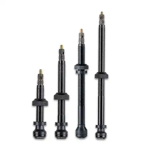 Schwalbe Tubeless Ventil Set 2er Set für Tubeless Reifen