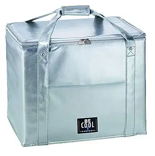 Kühltasche Wunasia 45 Liter Silber für Ausflüge und Picknicks