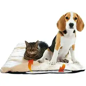 Thermodecke Hund