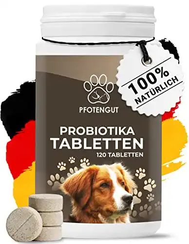 Probiotika für Hunde von PFOTENGUT – 120 Tabletten zur Unterstützung der Darmflora
