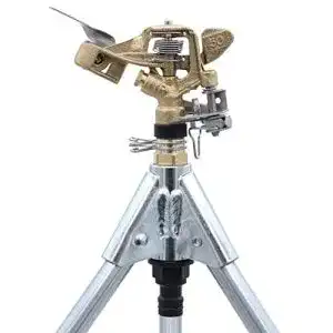 41QPPq z3L. SL500 