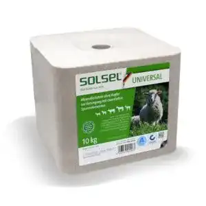 41QzwpGrU2L. SL500 