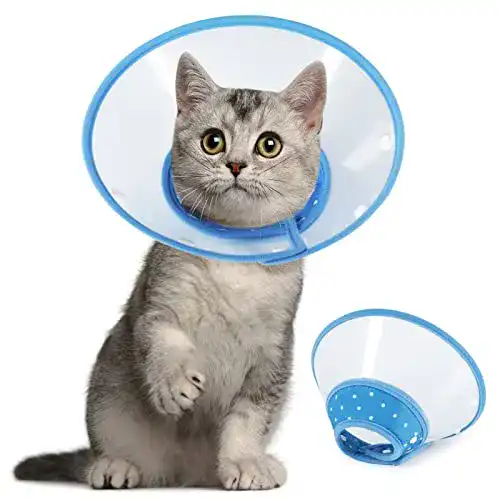 Halskrause für Hunde und Katzen von Vivifying, Verstellbar
