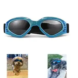 Hundebrille WELLXUNK für kleine und mittlere Hunde mit verstellbarem Riemen