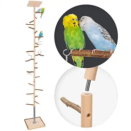 Wellensittich Spielzeug Vogelgaleria Zimmerhoher Kletterbaum