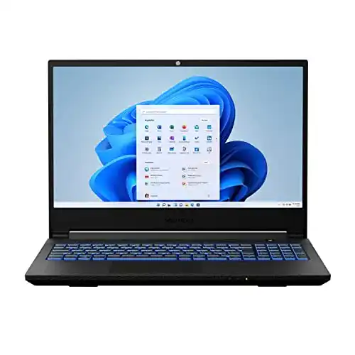 Medion Laptop Medion Erazer Deputy P25 39,6 cm