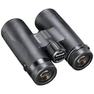 41SI 4Jyt9L. SL500 