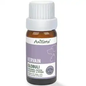 41TDYlKpsuL. SL500 