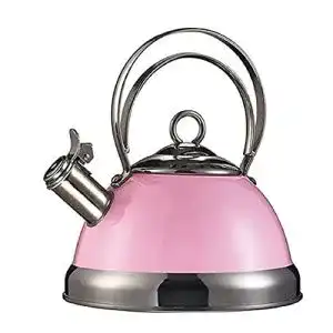 Flötenkessel Wesco 340 520 für Wasser und Tee