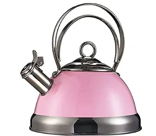 Flötenkessel Wesco 340 520 für Wasser und Tee