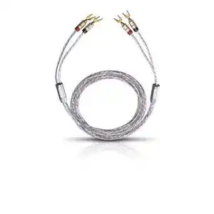 41TP61q7OyL. SL500 