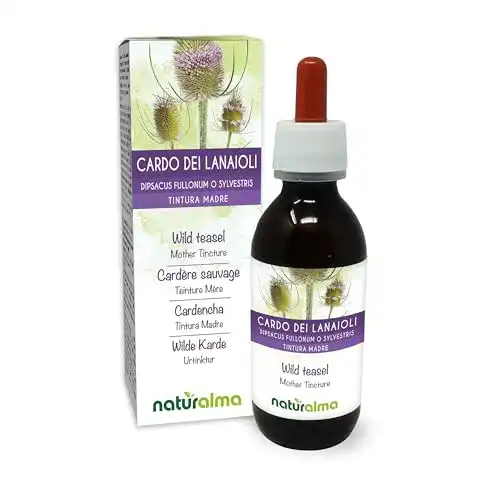 Kardenwurzel-Tinktur Naturalma Wilde Karde 120 ml