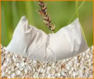 Hirsekissen Nuate Bio 40 x 80 cm mit Inlett aus 100% Bio-Baumwolle