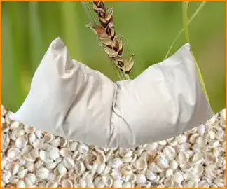 Hirsekissen Nuate Bio 40 x 80 cm mit Inlett aus 100% Bio-Baumwolle
