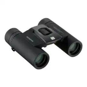 41UXrTKyTrL. SL500 