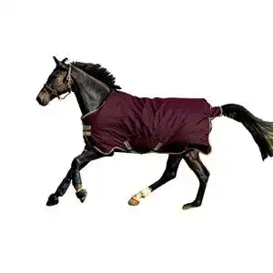 Pferdedecke Horseware Amigo Hero Ripstop 100g Weich 130cm