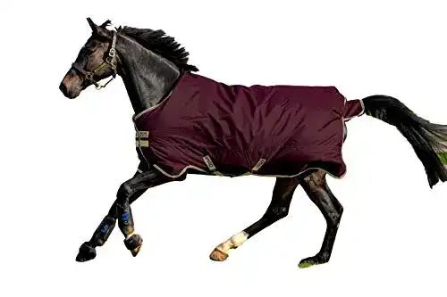 Pferdedecke Horseware Amigo Hero Ripstop 100g Weich 130cm