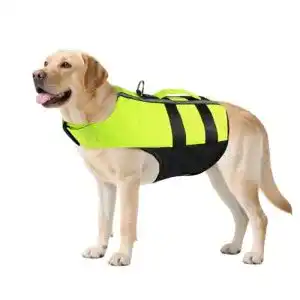 Hundeschwimmweste Namsan für Hunde – Tragbare und Aufblasbare Weste