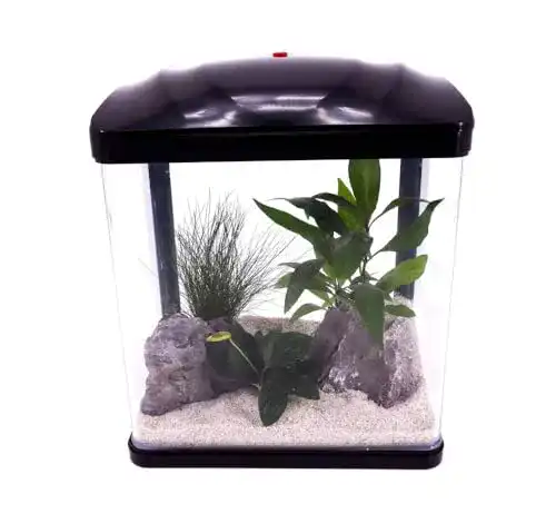 Nano-Aquarium AquaOne Komplettset mit LED-Beleuchtung und Pumpe