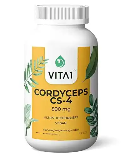 Cordyceps Kapseln von Vita1 mit 1000mg Extrakt pro Tagesdosis