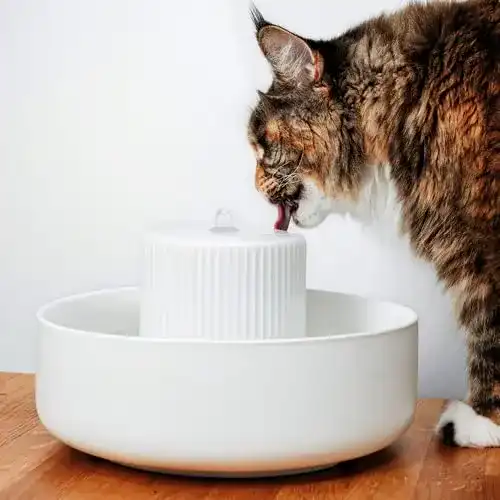 Katzenbrunnen aus Keramik von Lucybalu Trevi für Katzen