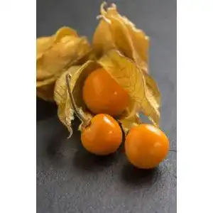 Physalis Samen für den Anbau von Andenbeeren