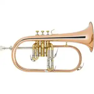 Flügelhorn Lechgold FH-60G aus Phosphorbronze in Bb-Stimmung