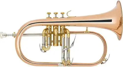 Flügelhorn Lechgold FH-60G aus Phosphorbronze in Bb-Stimmung