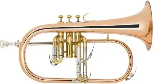 Flügelhorn Lechgold FH-60G aus Phosphorbronze in Bb-Stimmung
