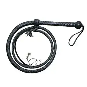 Bullwhip