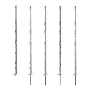 41apZ6cChL. SL500 