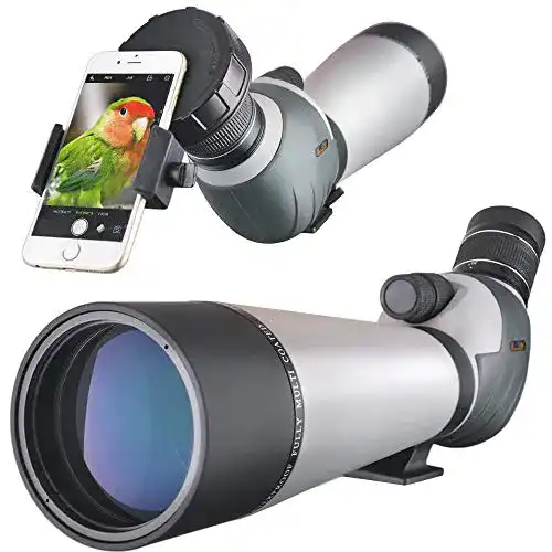 Spektiv 20-60×80 Landove mit Stativ und Digiscoping Adapter