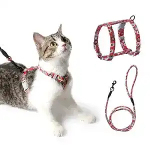Katzengeschirr mit Blumenmuster und Leine von PETTOM